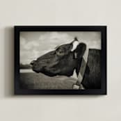 "Black & White Cow" - Art Print in black by Alexis Arnold - Framed