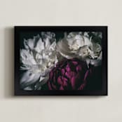 "Peony Pop of Color" - Art Print in soft white by Alexis Arnold - Framed
