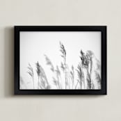 "summer weeds b+w" - Art Print in black and white by Crystal Lynn Collins - Framed