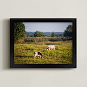 "Cows in the pasture" - Art Print in Calm Orange by Lying on the grass - Framed