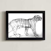 "Pacing Tiger" - Art Print in Shadow by Tracy Ann - Framed