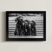 "Threesome" - Art Print in Black Lab by Nancy Lindo - Framed