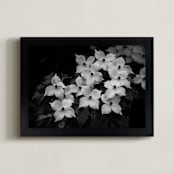 "Rainy Day Flowers" - Art Print in Black & White by Janet Cruz - Framed