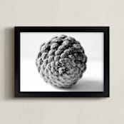 "Nature of the Pine Cone" - Art Print in black by Alexis Arnold - Framed