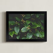 "Green Berry Ben" - Art Print in Green Berry by K.Short - Framed