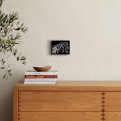 "big WHEEL" - Art Print in black and white by Gail Schechter - In a Room