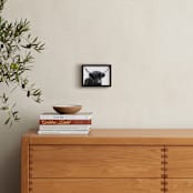 "Looking For Intuition" - Art Print in Winter Black and White by Leslie Le Coq - In a Room