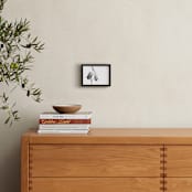 "Milkweed End of Season" - Art Print in bright white by Alexis Arnold - In a Room