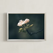 "Spring Apple Blossom" - Art Print in Greyish Teal by Justine Bicknell - Framed