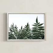 "Green leaves on white" - Art Print in Green by Lying on the grass - Framed