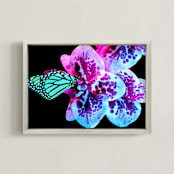 "Vivid Butterfly Orchid" - Art Print in Electric blue by Elena Kulikova - Framed