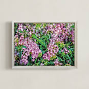 "Starflowers" - Art Print in Starflower Pink by Mariecor Agravante - Framed