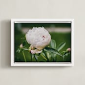 "About to Open" - Art Print in emerald green by Alexis Arnold - Framed Canvas