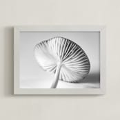 "Mushroom Found" - Art Print in light grey by Alexis Arnold - Framed