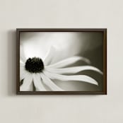 "Late Summer" - Art Print in Black and White by Lynn Lehto - Framed