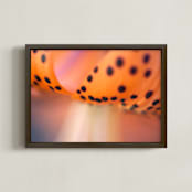 "Tiger #3" - Art Print in Orange and Black by Lynn Lehto - Framed