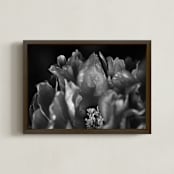 "Peony #1" - Art Print in Black and White by Lynn Lehto - Framed