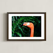 "Flamingo Go" - Art Print in Vivid by Three Wings North - Framed