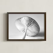 "Mushroom Found 2" - Art Print in grey, black and white by Alexis Arnold - Framed