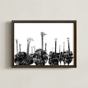 "Ostriches" - Art Print in inky black by Leanne Friedberg - Framed