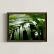 "Subdued" - Art Print in Palm by Three Wings North - Framed