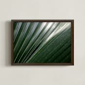 "Incline" - Art Print in Palm by Three Wings North - Framed