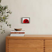 "Bold Dahlia" - Art Print in Crimson by Three Wings North - In a Room