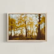 "Golden Canopy Study #2" - Art Print in Goldenrod by Stacy Kron - Framed