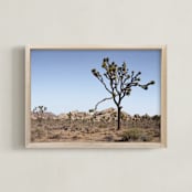 "Joshua Tree With Rock Formation in" - Art Print in Desert Tan by Kathy Van Torne - Framed