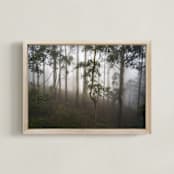 "Trees in the Mist" - Art Print in Fog White by Benno and Noosa - Framed