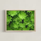 "Magical Sparkling Leaves" - Art Print in soft green by Julia Preminger - Framed