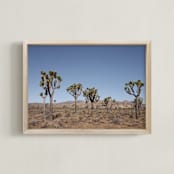 "Joshua Trees" - Art Print in Desert Beige by Kathy Van Torne - Framed