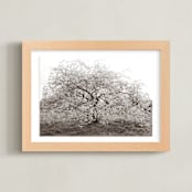 "bloom I" - Art Print in blossom by Sara Hicks Malone - Framed