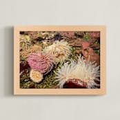 "Sea Anemones" - Art Print in Anemone Blush by Nicole Simms - Framed