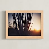 "Joshua Tree Sunrise 1" - Art Print in Golden Sunlight by Tibrina Hobson - Framed