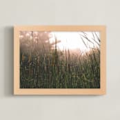 "Morning Light Liam" - Art Print in Morning Light by K.Short - Framed