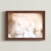 "Sunlit Kingdom" - Art Print in Grasses by Grzegorz Drachal - Framed