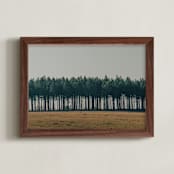 "Moody Trees" - Art Print in Pine by Zani van Zyl - Framed