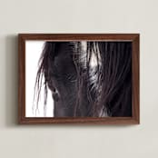 "Bucker" - Art Print in Wild Black by Leslie Le Coq - Framed