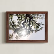 "Elegant Oak Tree" - Art Print in Baby Blue by Wilder California - Framed