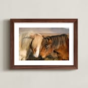"Icelandic Horses II" - Art Print in Golden by Crystal Lynn Collins - Framed