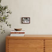 "Elegant Oak Tree" - Art Print in Baby Blue by Wilder California - In a Room