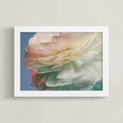"Delicate Ranunculus Flower" - Art Print in Blue by Elena Kulikova - Framed