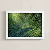"A Deer Slept Here." - Art Print in Grass by DENiSE CREW. - Framed