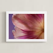 "Parrot Tulip" - Art Print in Lilac by Elena Kulikova - Framed
