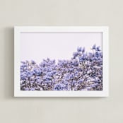 "Jacaranda in bloom" - Art Print in lavender by Owl and Toad - Framed