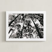 "In the Woods" - Art Print in black and white by lulu and isabelle - Framed