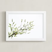 "Sun seeking" - Art Print in Green by Eliane Lamb - Framed