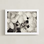 "The Glory of the Morning" - Art Print in Black and White by Sara Heilwagen - Framed