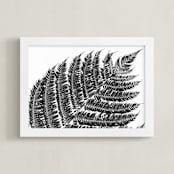 "Plant Study" - Art Print in Black and White by Kaitlin Rebesco - Framed